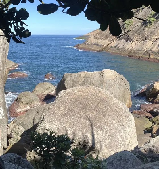 Mar visto do meio das pedras, com folhas de árvore em cima